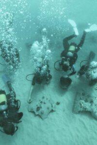 AR Underwater
