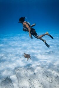 turtle-volunteer-madagascar-snorkel-survey