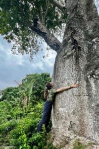 agroforestry-volunteer-work-madagascar