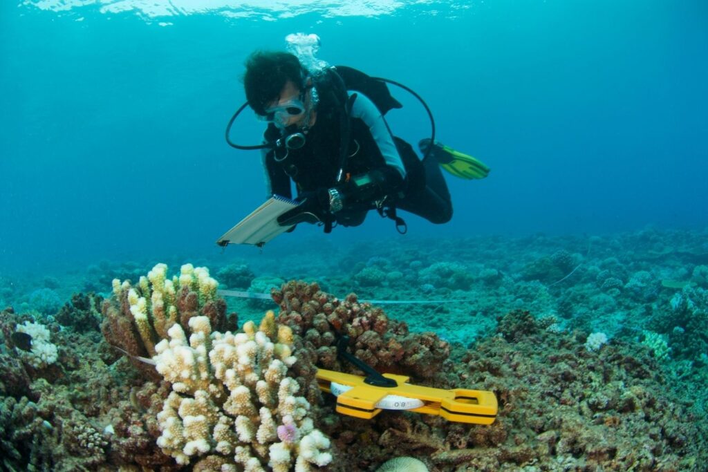 Marine Conservation Survey