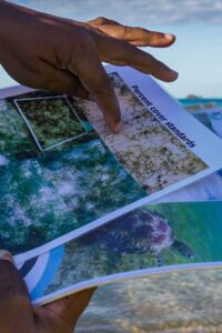 seagrass-identification-madagascar