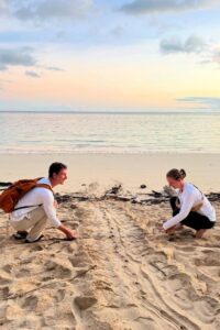 turtle-volunteer-madagascar-turtle-tracks