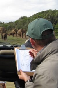 Elephant Oberservation