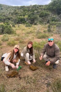 Elephant dung
