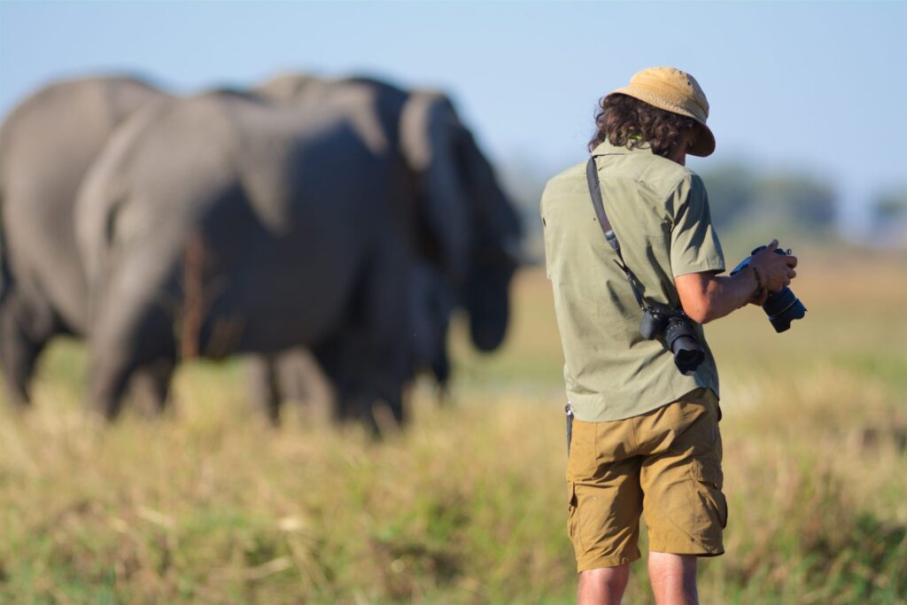 observing-elephants-south-africa-volunteer