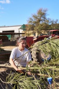 habitat-conservation-invasive-species-removal