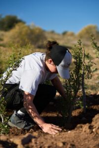 habitat-conservation-spekboom-planting-field