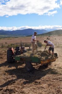 habitat-conservation-veld-restoration