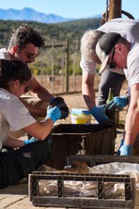 habitat-conservation-volunteers