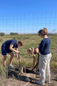 Volunteer maintaining big cat enclosure in South Africa