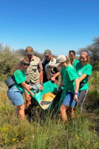 Volunteers assisting vets at South African wildlife sanctuary