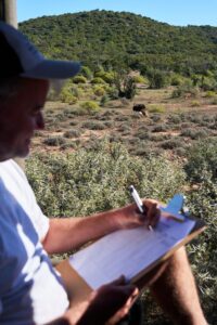 wildlife-conservation-game-count-fieldwork