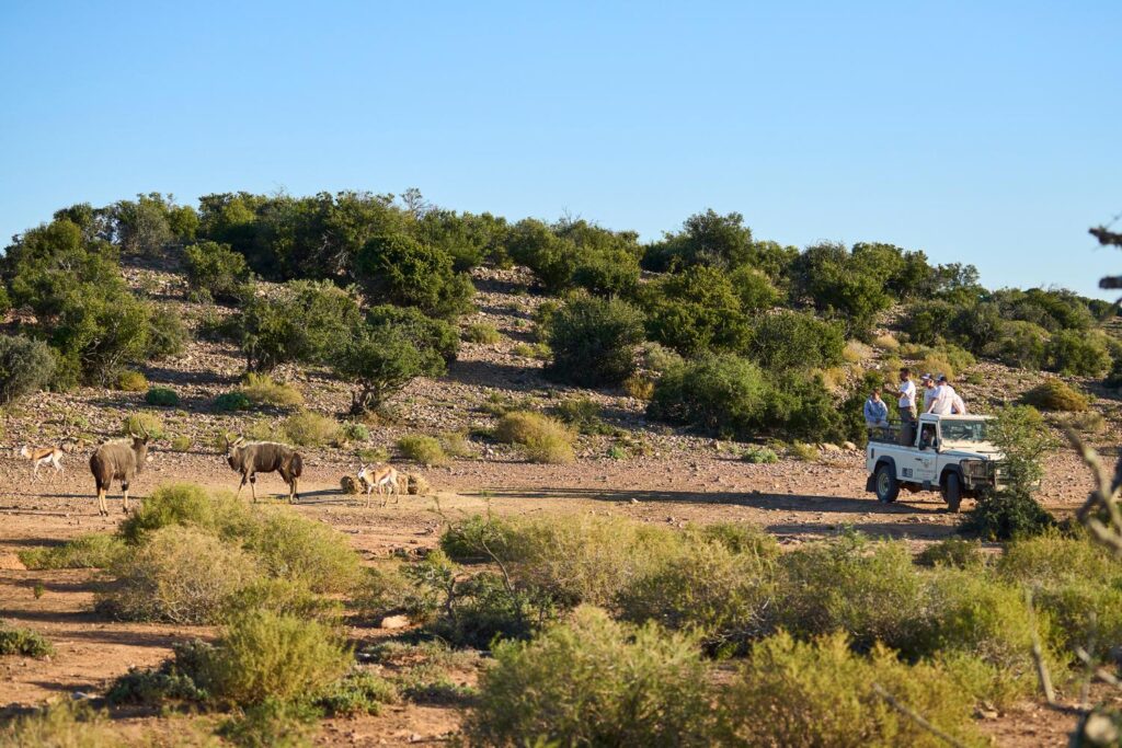 wildlife-conservation-in-the-field
