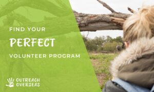 Woman looking at elephants in African bushveld with text overlay: Find Your Perfect Volunteer Program – Outreach Overseas