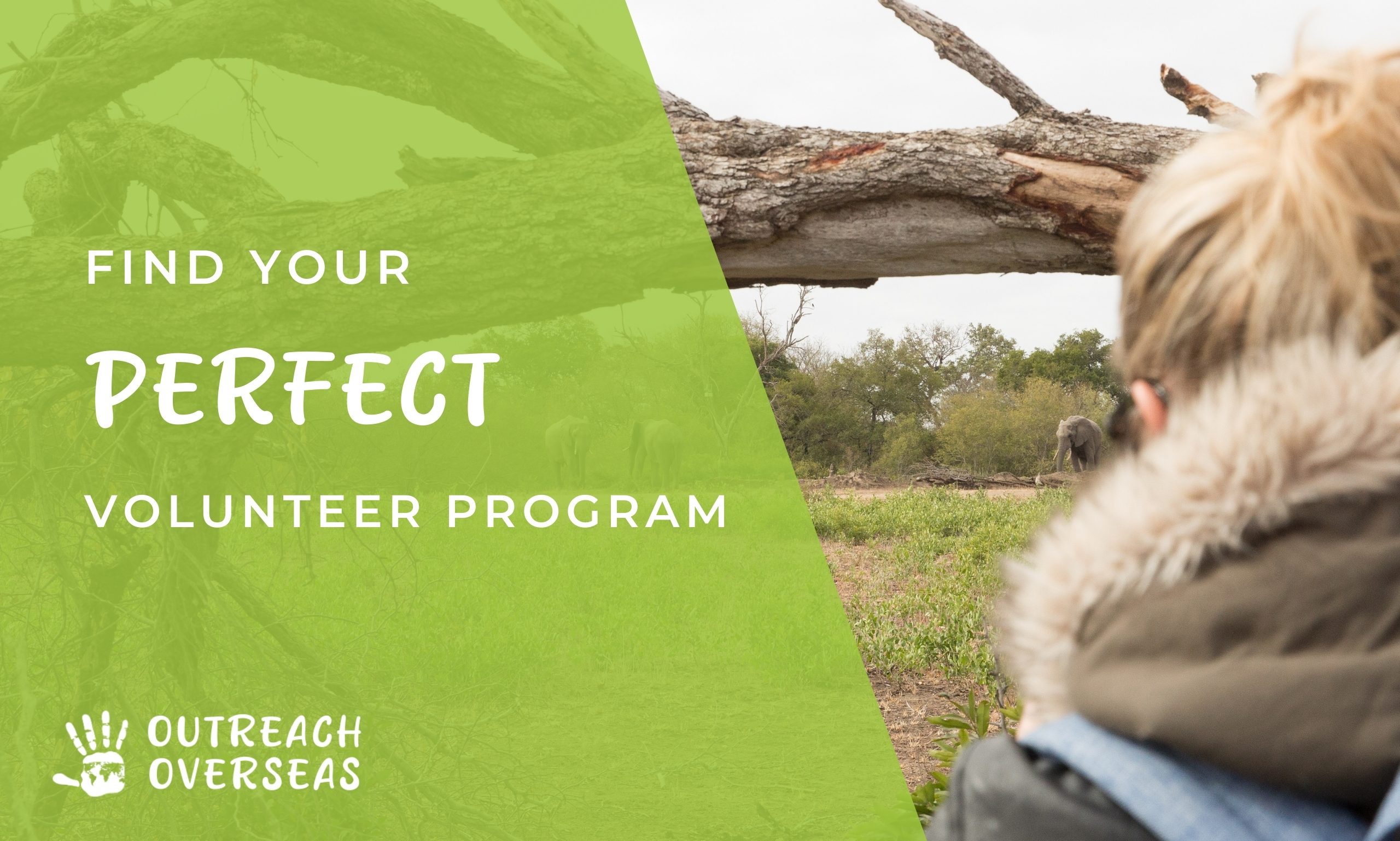 Woman looking at elephants in African bushveld with text overlay: Find Your Perfect Volunteer Program – Outreach Overseas
