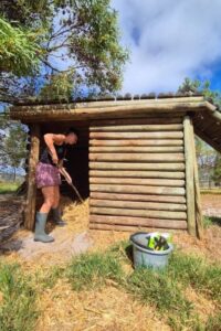 maintaining-enclosures-wildlife-sanctuary-south-africa