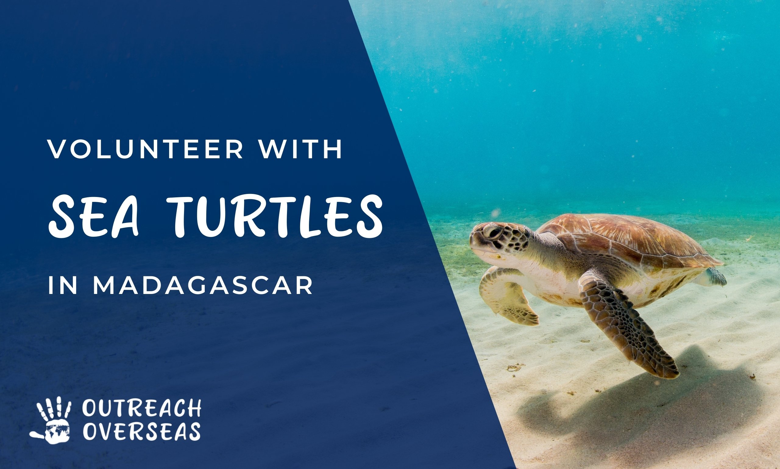 volunteering-with-sea-turtle-madagascar