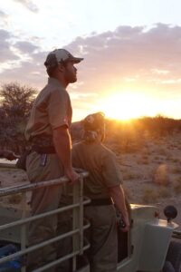 Rangers standing on a patrol vehicle watching the sunset over the Namibian savannah