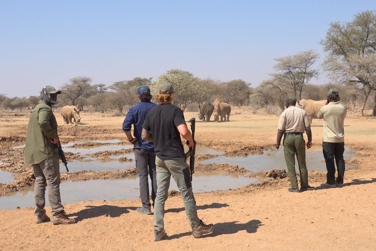 Rangers observing rhinos at a waterhole during anti-poaching patrol in Namibia