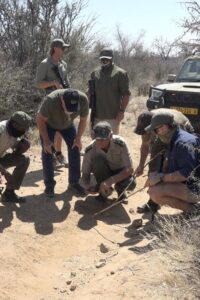 Volunteers and rangers learning how to track wildlife footprints during anti-poaching training in Namibia