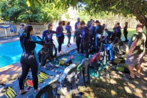 Group of marine conservation volunteers practising scuba skills during pool training in Sodwana Bay, South Africa