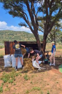 Big Cat Rescue & Sanctuary - Big Cat Enclosures