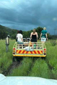 Visitors observing animals behind fencing.