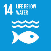 UN SDGs 14